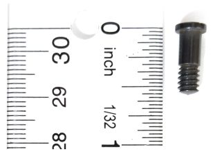 Sharps Bridle Screw