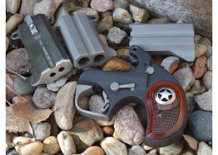 Bond Arms Barrel 2.5" .45ACP