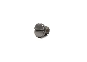 1873 Stainless Steel Mainspring Screw