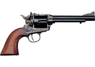 Stallion Target 5.5" .22LR