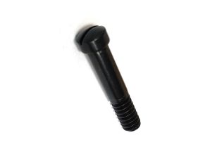 Dragoon/Walker Hammer Screw Blued