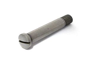 1873 Side Plate Screw White
